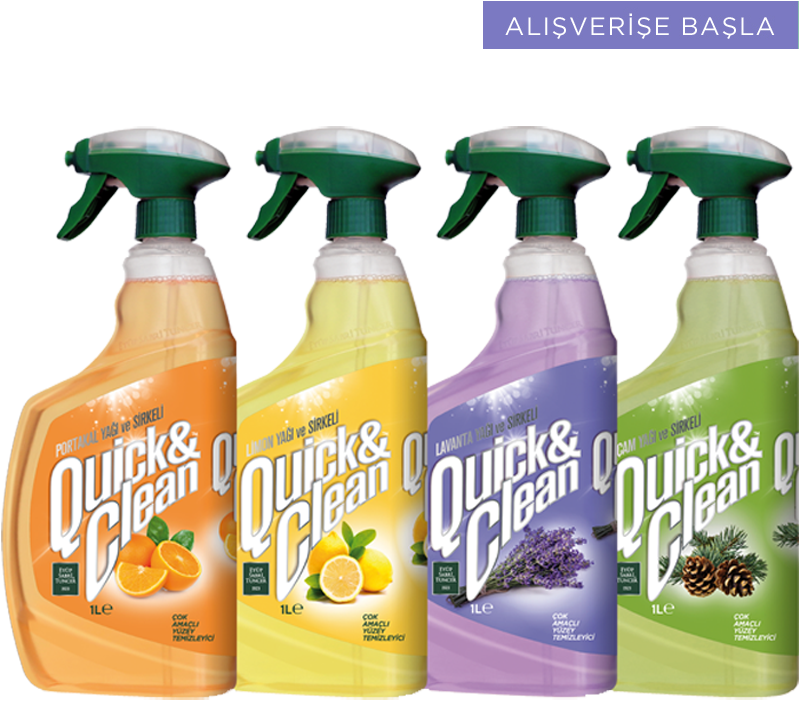 First Vector Graphic